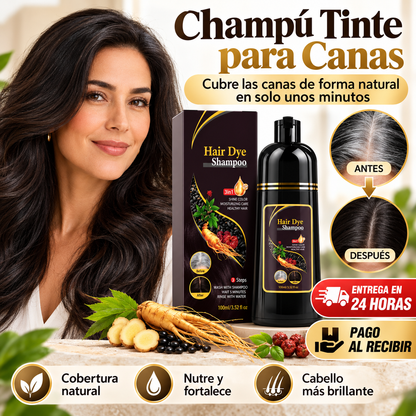 CHAMPÚ TINTE 3 EN 1 PARA CANAS (500ML)