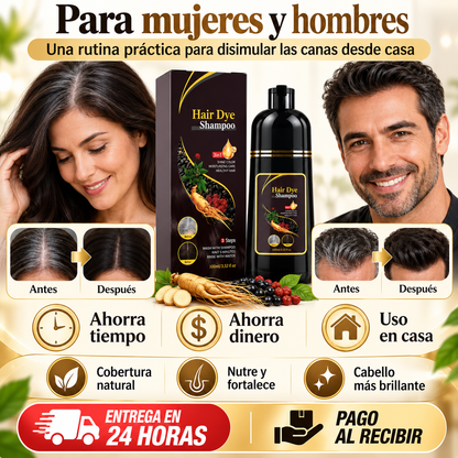 CHAMPÚ TINTE 3 EN 1 PARA CANAS (500ML)