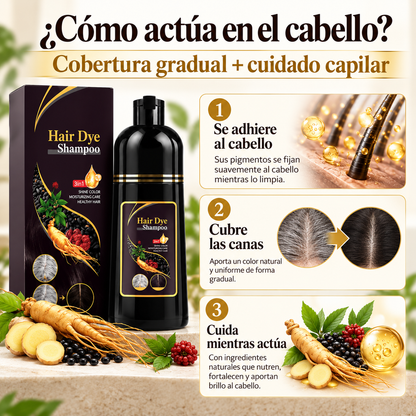 CHAMPÚ TINTE 3 EN 1 PARA CANAS (500ML)