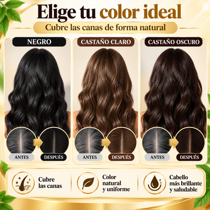 CHAMPÚ TINTE 3 EN 1 PARA CANAS (500ML)