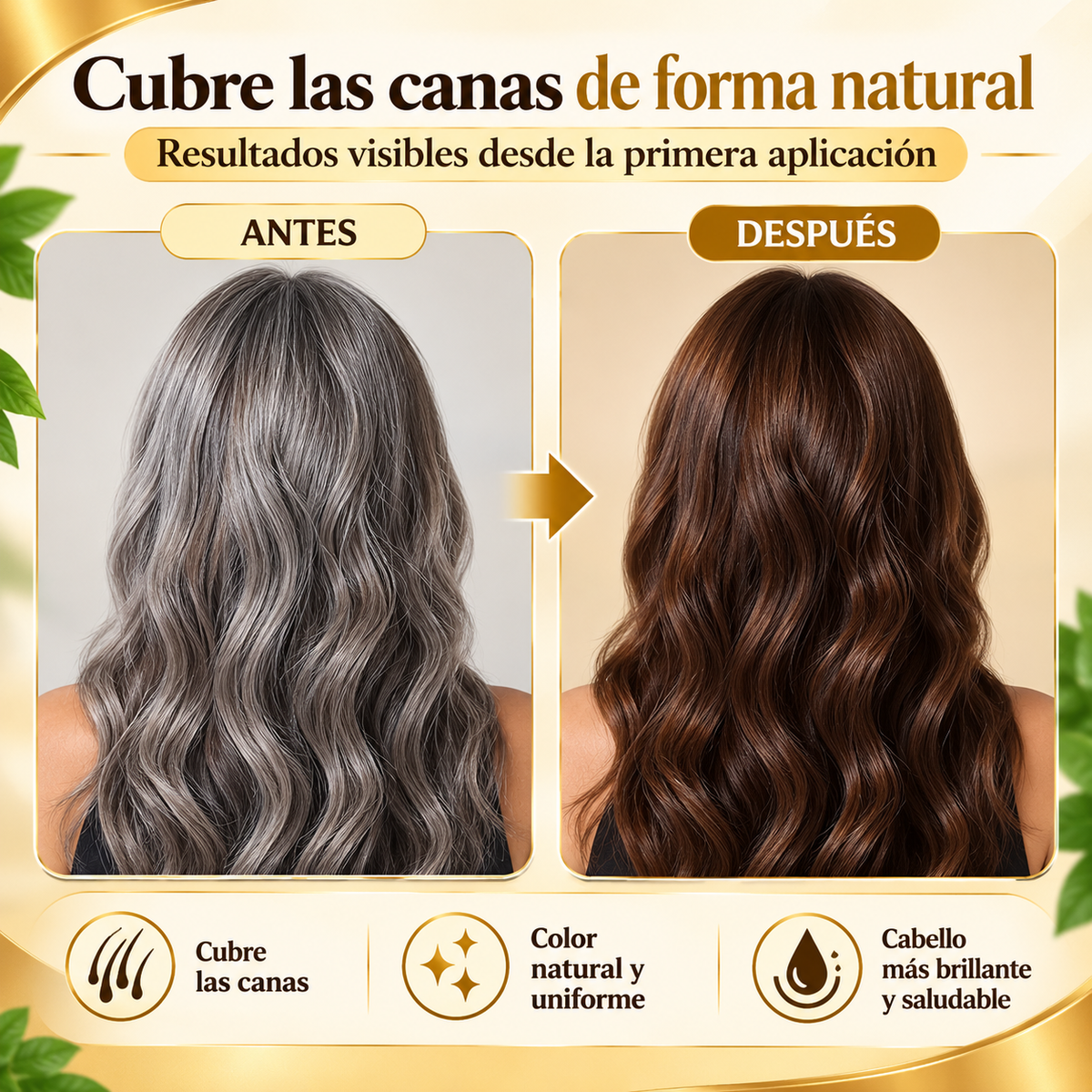 CHAMPÚ TINTE 3 EN 1 PARA CANAS (500ML)